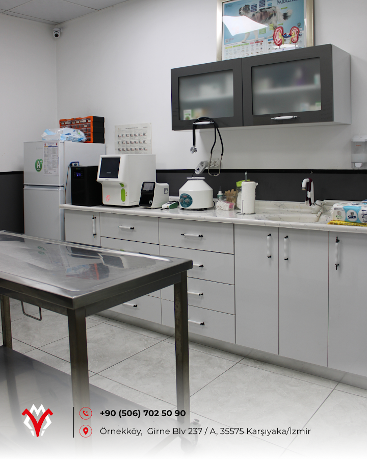 MartıPet Veteriner Kliniği laboratuvar ve tanı ekipmanları